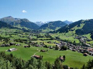 Gallery image of Hotel Saanerhof in Gstaad