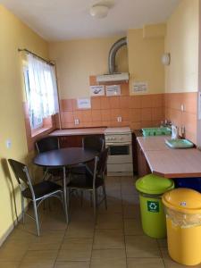 a kitchen with a table and chairs and a sink at Pokoje Bałtycka 4 in Mrzeżyno