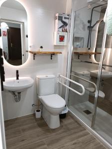 a bathroom with a toilet and a sink and a mirror at El Rincón de la Azucena in Guadalajara