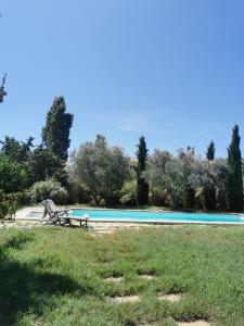 a swimming pool with a bench in the grass at La verdine in Arles