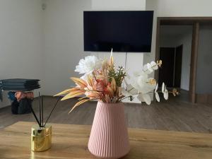 TV a/nebo společenská místnost v ubytování Apartmán pod Pálavskými vrchy