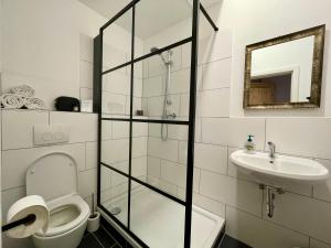 een badkamer met een toilet en een wastafel bij Äuchen am Rosenthal in Monschau