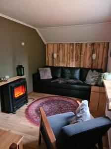uma sala de estar com um sofá e uma lareira em Stuga ROS Naturcamping Lagom em Gräsmark