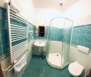 a bathroom with a shower and a toilet and a sink at Penzion Černý Kůň in Hradec Králové