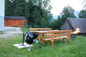 a grill sitting next to a picnic table and a grill at Ferienwohnung Radmer in Radmer an der Hasel