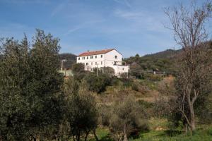 a white house on top of a hill with trees at Podere Maletto - Appartamento con PISCINA INTERNA riscaldata Savona in Savona