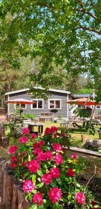 Κήπος έξω από το Stuga ROS Naturcamping Lagom