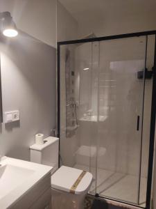 y baño con aseo y ducha acristalada. en Luxury 16 Imperial, en Novelda