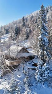 una cabaña en la nieve con un pino en Chata w Szczyrku, en Szczyrk