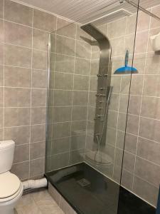 ein Badezimmer mit Glasdusche und Toilette in der Unterkunft 500m de la plage des Boucholeurs - Maison pour 5 in Barbâtre