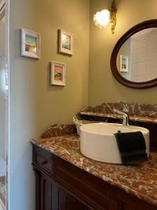 uma casa de banho com um lavatório e um espelho em Le Logis de Saint Cyr em Issoudun