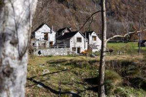 Ein altes Haus mitten auf einem Feld in der Unterkunft Verzasca Lodge Ofelia in Sonogno