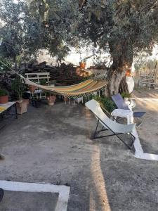 Gambar di galeri bagi Garden Sea View di Poros