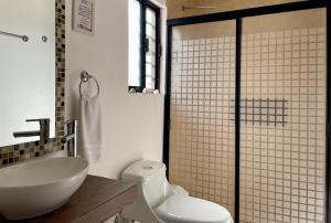 La salle de bains est pourvue de toilettes, d'un lavabo et d'une douche. dans l'établissement EXCELENTE CASA EN PRIVADA ALBERCA- GYM-JARDÍN- Asador, à Ciudad Valles