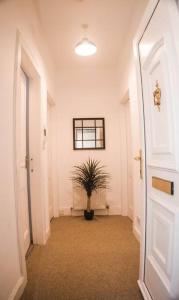 a hallway with a potted plant in a room at The Scot in Perth