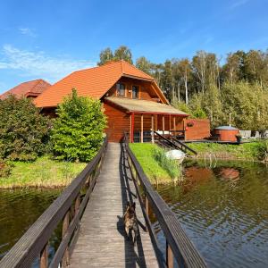 a dog walking on a wooden bridge over a lake at Kundziņu salas in Vidriži