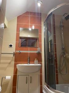 a bathroom with a sink and a shower at Apartament U Joli in Tylicz