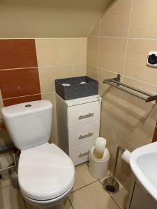 a bathroom with a white toilet and a sink at Apartament U Joli in Tylicz