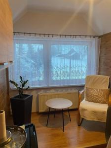 a living room with a chair and a table and a window at Apartament U Joli in Tylicz