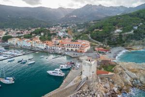 an aerial view of a harbor with boats in the water at Appartamenti La Marina - Goelba in Marciana Marina