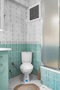 伊斯坦堡的住宿－Bright & Cozy 2BR Located In The Heart Of Living，一间带卫生间和淋浴的浴室