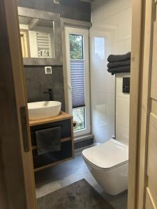 a bathroom with a white toilet and a sink at Tiny House in Roxheim