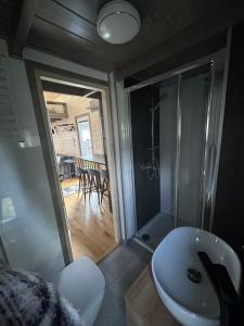 a bathroom with a sink and a shower and a toilet at Tiny House in Roxheim +9 photos
