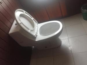 a white toilet with the seat up in a bathroom at Tribeni Lodge Restaurant And Bar in Phakding