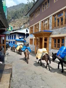 eine Gruppe von Tieren, die eine Straße entlang gehen in der Unterkunft Tribeni Lodge Restaurant And Bar in Phakding