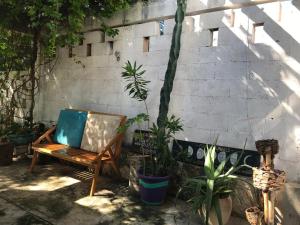 une chaise assise à côté d'un mur orné de plantes dans l'établissement El Callejón, à Valladolid