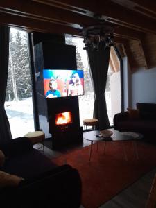 a living room with a fireplace and a tv at Villa Tina in Štrpce