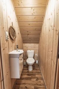 La petite salle de bains est pourvue de toilettes et d'un lavabo. dans l'établissement Domki Wichrowe Wzgórze, à Wisła