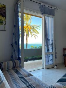 Príroda v okolí apartmánu + 7 fotografií