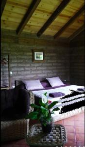 a bedroom with a bed and a chair with a plant at La Tierra Grande in Zacatlán