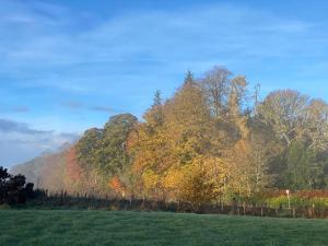 un campo con alberi autunnali sullo sfondo di Burnside Chalet on Reelig Estate Near Inverness a Kirkhill