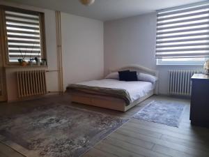 a bedroom with a bed and two windows and a rug at Apartment Lamele Bugojno in Bugojno