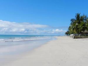 uma praia branca com palmeiras e o oceano em Casa em Tamandaré em Tamandaré