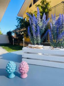 three potted plants sitting on top of a bench at La Pigna Casa Vacanza in Nicolosi