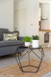 un soggiorno con tavolo con due piante in vaso di APPARTEMENT Des Verdiers a Andernos-les-Bains