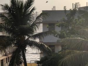 a palm tree in front of a building and the ocean at Sealink view Apartment next to Hinduja Hospital in Mumbai