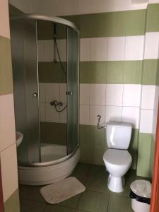 a bathroom with a toilet and a glass shower at Pokoje Bałtycka 4 in Mrzeżyno