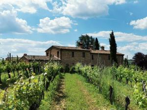 un viñedo con un edificio de fondo en Agriturismo I Fuochi, en Valiano