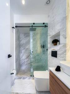 La salle de bains est pourvue d'une douche, de toilettes et d'un lavabo. dans l'établissement Amazing Estudio with Terrace and Restaurant, à Mexico