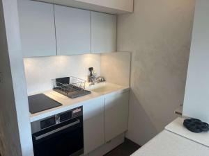 a small kitchen with a sink and a dishwasher at Appartement Huez, 1 pièce, 4 personnes - FR-1-405-228 in LʼHuez