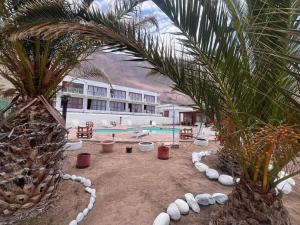 un complexe avec un palmier et une piscine dans l'établissement Hotel Josefina, à Alto Hospicio