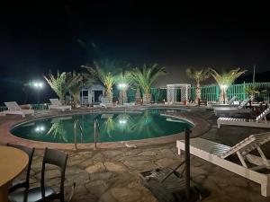 a swimming pool at night with palm trees and lights at Hotel Josefina in Alto Hospicio