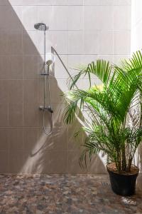 Private Urban Villa Denpasar في دينباسار: دش مع نبات في الحمام