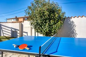 a blue ping pong table in front of a bush at Villa Agri with large Garden and Pool near Pula in Loborika