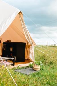 Foto dalla galleria di Glamping in Småland a Eksjö