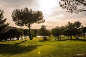 um campo de golfe com uma árvore e um lago em Moment de détente sur le Golf de Pont-Royal em Mallemort